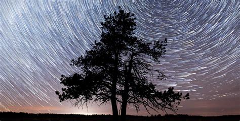 Where to Stargaze in Alberta Dark Sky Reserves | AMA Travel