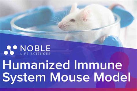 Humanized Immune System Mouse Model: CD34+ NOD SCID Gamma