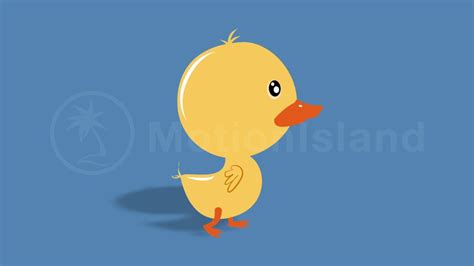 Little Duck Walk Cycle 🐤 - YouTube