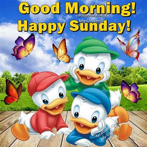 Happy Sunday! | Good morning happy sunday, Happy sunday quotes, Good morning smiley