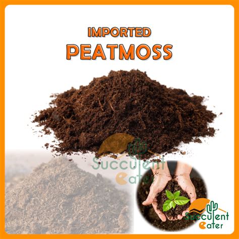 Peatmoss Imported Fine Peat moss Soil for Seedings Substrate Soil Medium Tanah gambut Semaian 多肉 ...