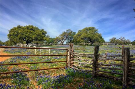 The Best Scenic Byway Road Trips in Texas