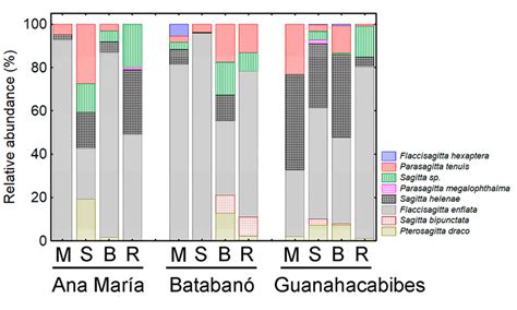 Average relative abundance of chaetognatha species in three gulfs and... | Download Scientific ...