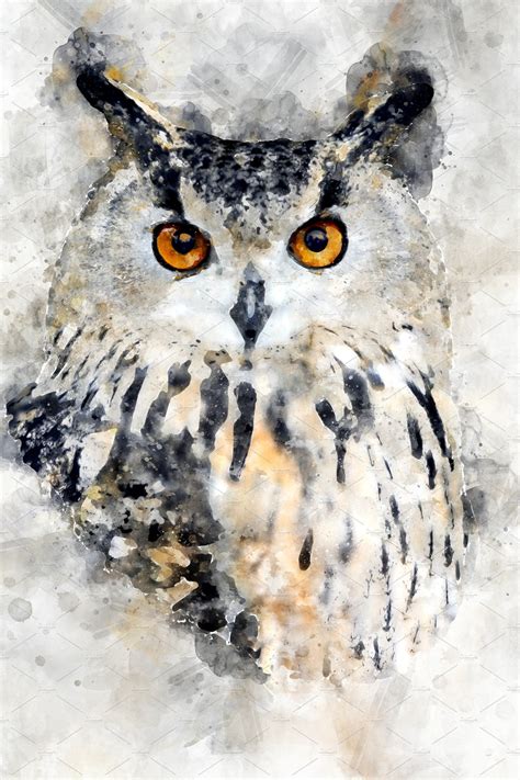 Owl - watercolor illustration portra | Owl watercolor, Bird watercolor ...