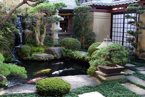 Japanese koi pond | Interior Design Ideas