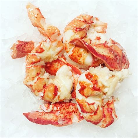 Lobster Habitat and Behavior Information - Frozen Lobster Supplier, Frozen Lobster Meat ...