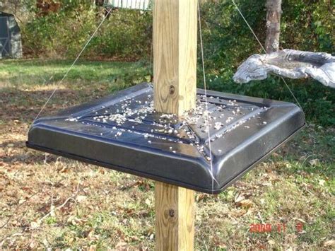 Homemade squirrel baffle (pics) is working great! | Squirrel proof bird feeders, Bird feeder ...