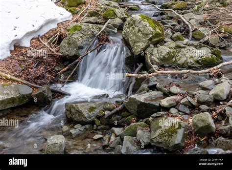 Mountain forest with stream and snow Stock Photo - Alamy