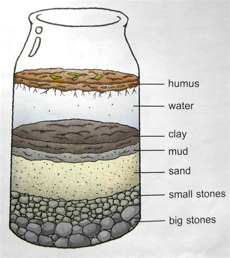 Image result for layers of soil worksheet | Soil layers, Humus, Soil