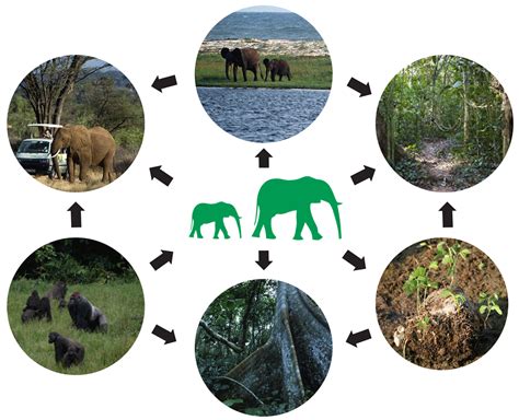 GBN—National Parks Tourism Diagram | Fantastic Offense