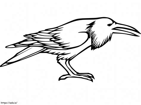 Printable Raven coloring page