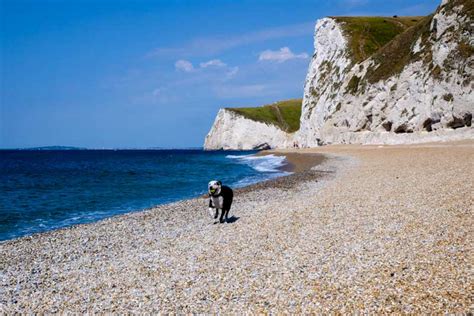 Jurassic Coast & Dorset Coast Camping: 2024 Guide