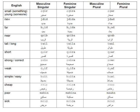 Moroccan Arabic Language on Instagram: “LEARN MOROCCAN ARABIC - COMMON ...