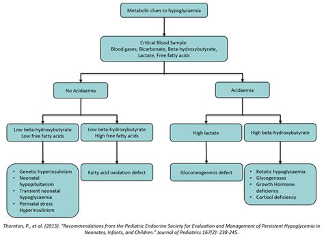 Hypoglycemia Pathway