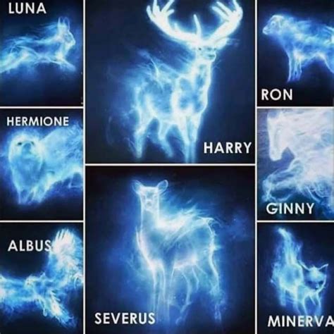 List of Patronus and Their Meanings – harrypotterhousequiz.com | Harry potter voldemort, Harry ...