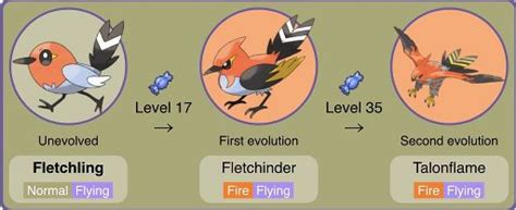 Fletchling | Wiki | Pokémon Amino