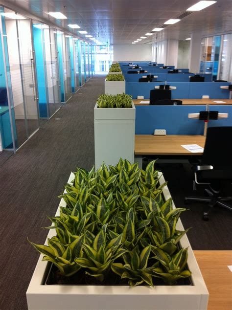 Indoor Garden Design - office plants in London | Plant office design ...