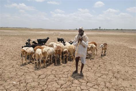 Maharashtra faces drought as opposition alleges mismanagement