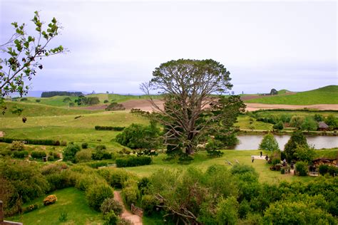 There and Back Again: A Visit to Hobbiton New Zealand - Jordan Gassner ...