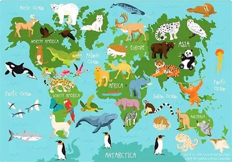 A-Z List of All the Animals in the World - Livestocking