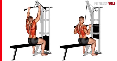 Cable Pulldown Exercise: How-To, Variations, Tips and Video Guide