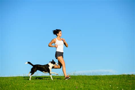 Top 7 Tips for Running with Dogs | OVRS