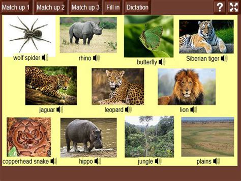 Animals and their Habitats 2 | English-Guide.org