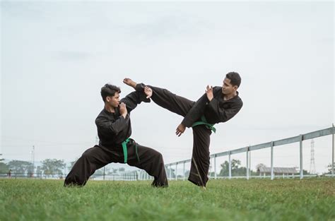 Pencak Silat | Martial Arts Wiki | Fandom