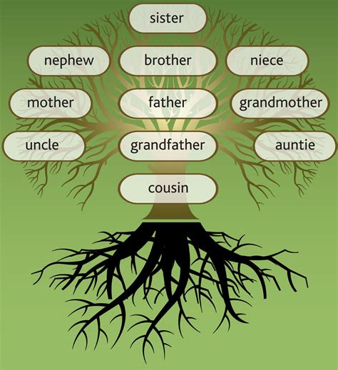 How Family Tree Workshops and Webinars Can Help Your Research