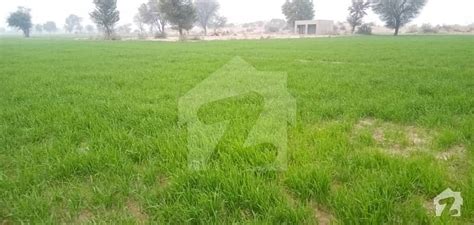 District Bahawalnagar Tehsil Fort Abbas Chak No 303a 42 And Half Acre ...