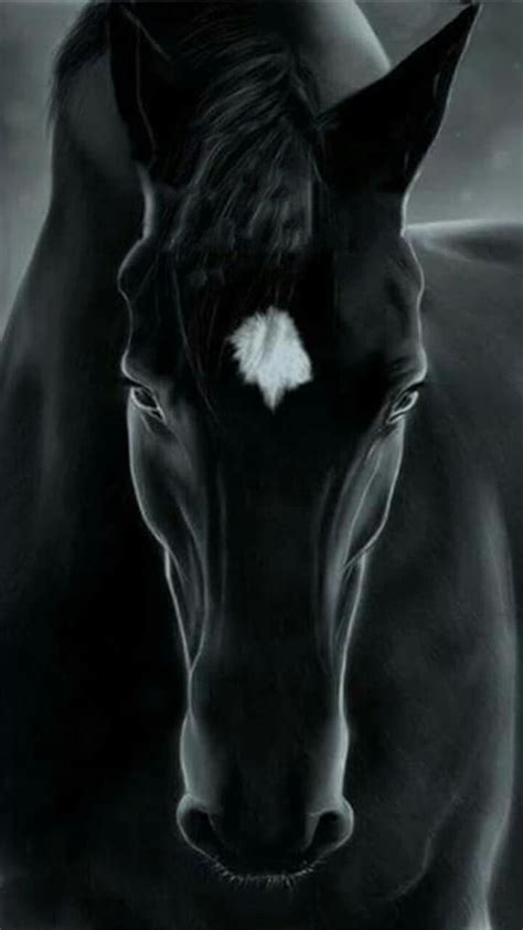 Black horse, animals, HD phone wallpaper | Peakpx