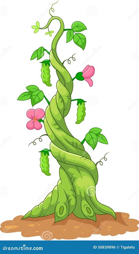 Cartoon Bean Stalk Stock Vector - Image: 50839896