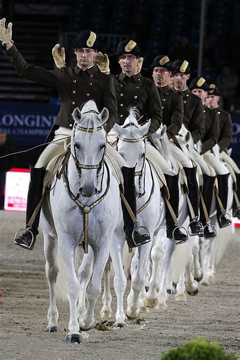 Spanish Riding School of Vienna | Horses, Beautiful horses, Horse love