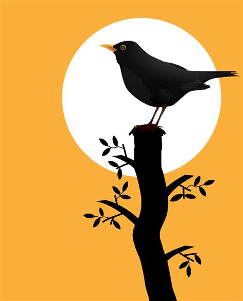 Bird Silhouette On Branch Free Stock Photo - Public Domain Pictures