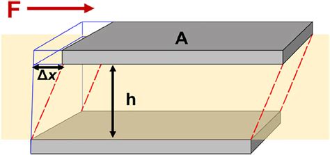 An illustration of an object under simple shear stress and give rise to ...