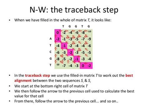 The Needleman Wunsch algorithm