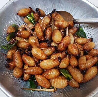 How Are Coconut Worms in Vietnam?