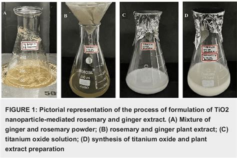 Figure 1 from Green Synthesis of Titanium Oxide Nanoparticles With ...