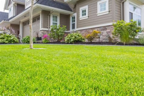 Best Lawn Care Solutions Nashville, TN | Weed Control + Lawn Services ...