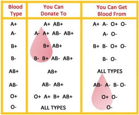 Type AB is vital part of blood donation | The Inquisitor