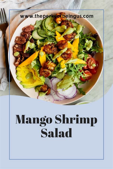 Mango Shrimp Salad - The Perks of Being Us Healthy Recipes