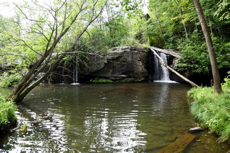 Ashokan Southern Week 2017 - Scenes 3