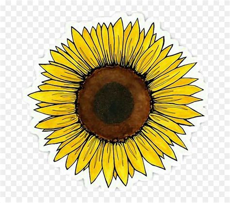 Find hd Yellow Flower Clipart Tumblr Transparent - Aesthetic Sunflower ...