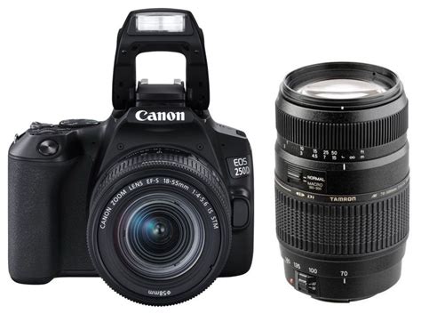 Canon EOS 250D 18-55mm IS STM +Tamron 70-300mm DI LD - Foto Erhardt