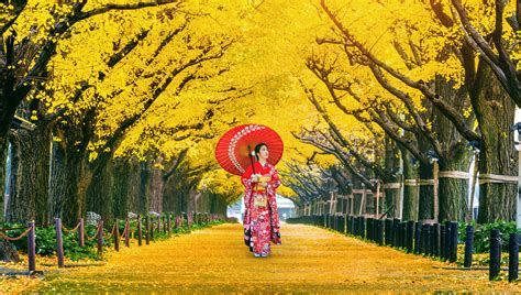 10 Gorgeous Autumn Foliage Spots In And Near Tokyo - Savvy Tokyo