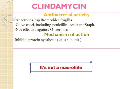 Can I Use Clindamycin After a Chemical Peel? | Justinboey