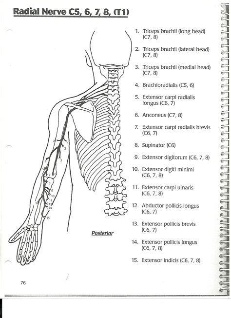 Pin by Chau on NBCOT | Occupational therapy assistant, Physical therapy assistant, Occupational ...