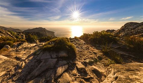 A Complete Guide to Table Mountain National Park — Viatu