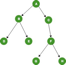 Binary Trees | Algorithm Tutor