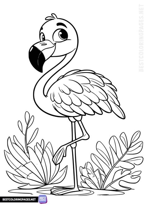 Flamingo coloring pages - Bestcoloringpages.net